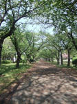 DSCF3288.JPGweb.JPG