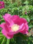DSCF3481.JPGweb.JPG