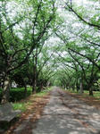 DSCF3490.JPGweb.JPG