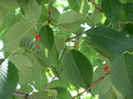 DSCF3658.JPGweb.JPG