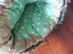 DSCF3904.JPGweb.JPG