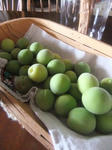 DSCF4064.JPGweb.JPG