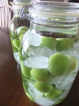 DSCF4069.JPGweb.JPG