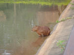 DSC00940.JPG