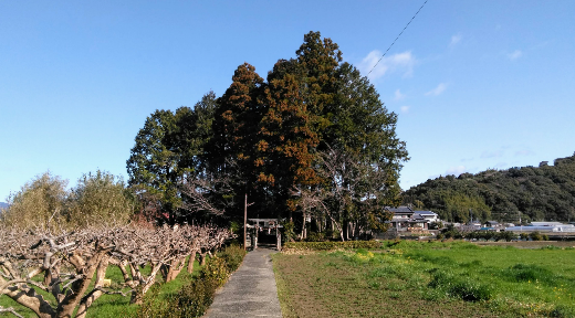 吾川郡いの町天王ニュータウンの地名由来は「天王山」 もう一つの歴史教科書問題