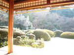 P1020557shisen1.jpg
