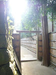 P1020585shisen3.jpg