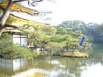 P1020617kin1.jpg