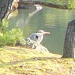P1020617kin2.jpg