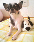 キャラクター性2