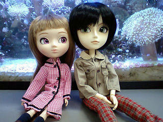 パパママセット4