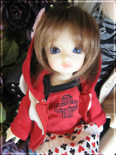 水かきと猫耳と羽1