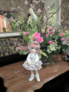 カウンター周辺