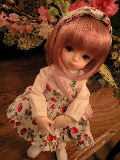 カウンター周辺