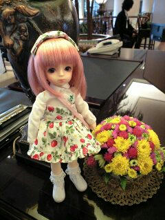 チェックアウト2