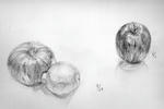 20cb0078.jpg