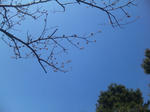 678b18f9.jpg