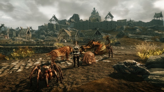 Skyrim おいでよ動物のskyrim ドラゴンフォロワー化 ここは待避所一丁目