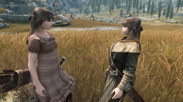 Skyrim Extensible Follower Flamework と Follower Live Package でフォロワー をヒーラー化 ここは待避所一丁目