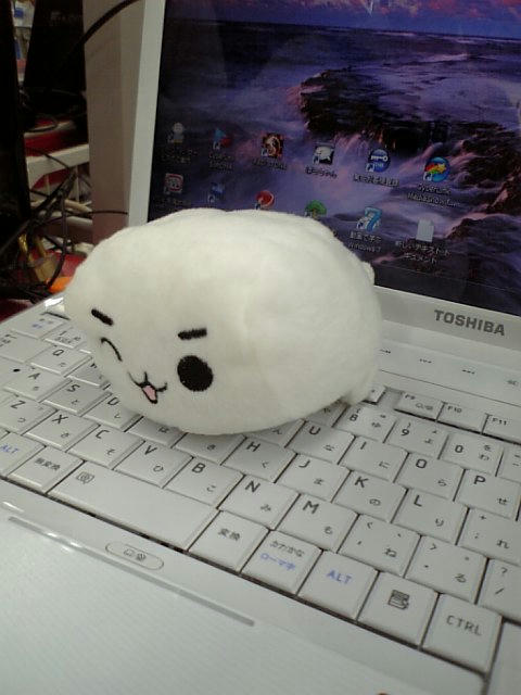 ぱらちゃんゲットいいな～