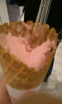 8837444e.jpg