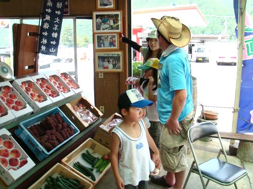 桃狩り食べ放題時間無制限富士山富士五湖周辺人気農園