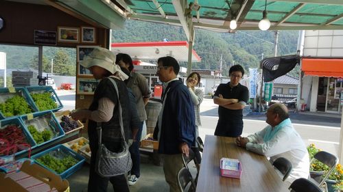 富士山周辺近いおすすめのぶどう狩り食べ放題観光客に人気農園直売所