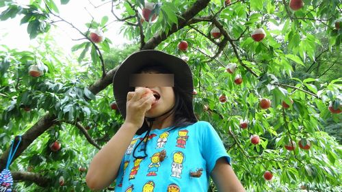 山梨御坂初めての桃狩り食べ放題できる果物狩りフルーツ狩り観光園直売所の選び方のポイント