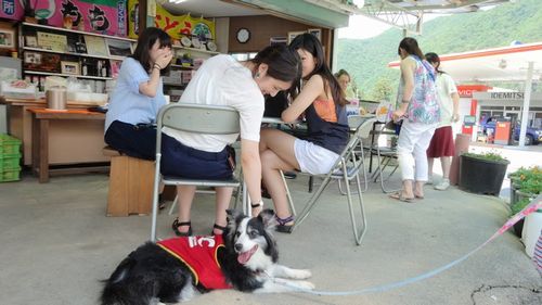 2018年も御坂町で桃狩り予定。オススメは食べ放題できる人気農園農場.jpg