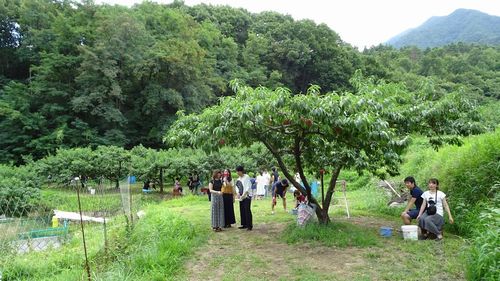 評判の良い観光園笛吹市御坂町桃狩り食べ放題お土産を買うならここの直売所がおすすめ