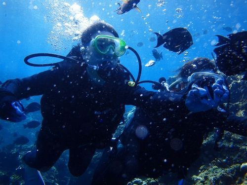 GWゴールデンウィーク(2019年)は那覇市で観光&体験ダイビング。未経験者、高齢者におすすめ。貸切できるショップ