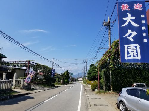 勝沼一人でも楽しめるお得なぶどう狩り無農薬低農薬のぶどうを試食できる人気の直売所