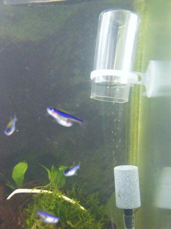 DSCF5498.JPG