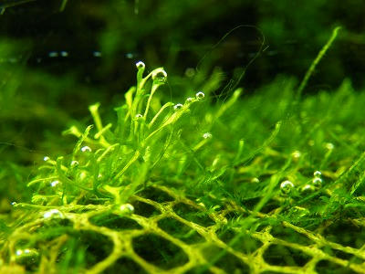 DSCF5603.jpg
