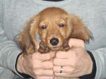 2007-11-25-02.jpg