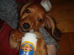 2007-11-26-01.jpg
