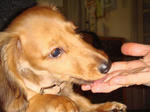 2007-11-26-02.jpg