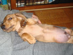 2007-11-29-01.jpg