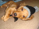 2007-12-07-01.jpg