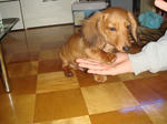 2007-12-14-02.jpg