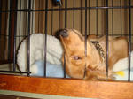 2007-12-22-01.jpg