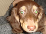 2007-12-05.jpg