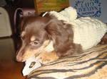2007-12-14.jpg