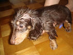 2007-12-18.jpg