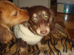 2007-12-19.jpg