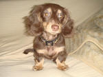 2007-12-28.jpg