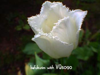 e0703.jpg