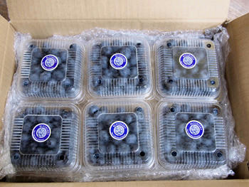 e1070.jpg