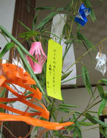 8b71a34a.jpg
