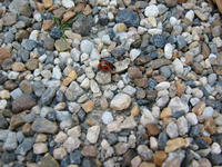39a560de.jpg